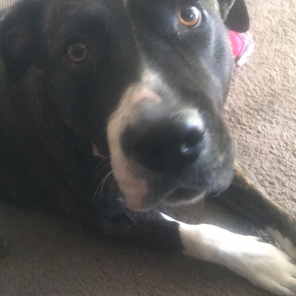 Meet your Posher, John - Picture 1 of 1